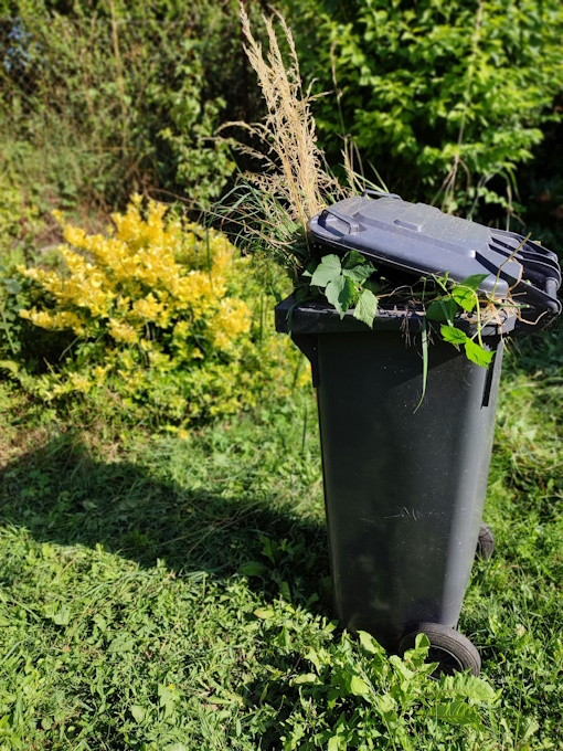 Seasonal yard cleanup for a refreshed outdoor space